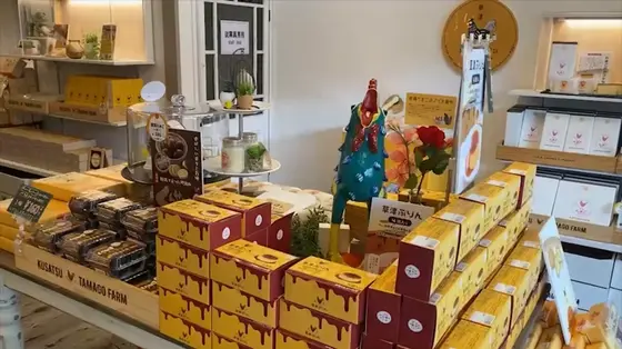 内観