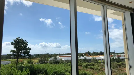 窓からの景色