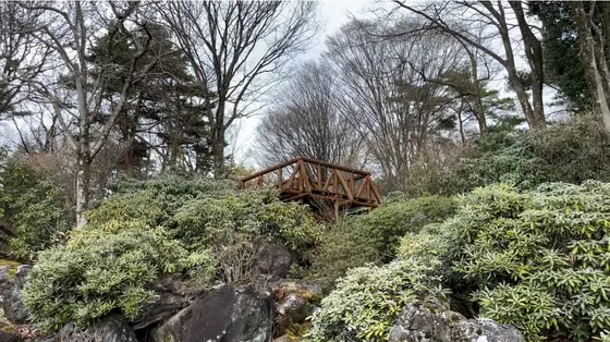 展望台