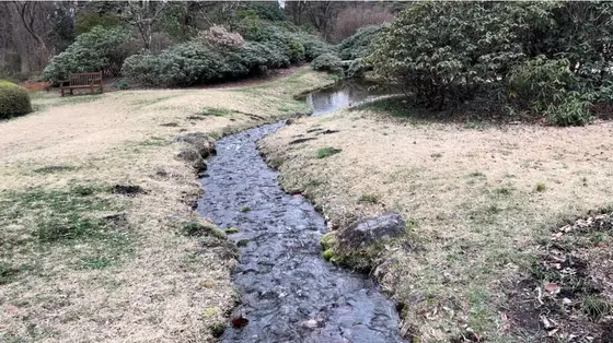 人工の川？！
