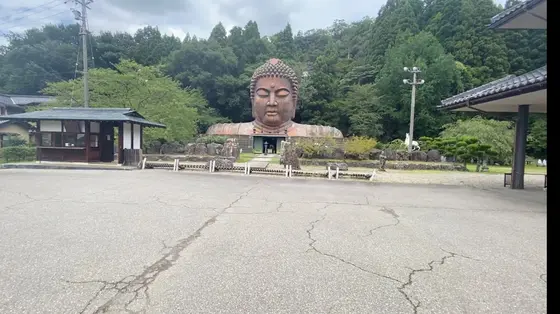 大きな大仏様の顔！