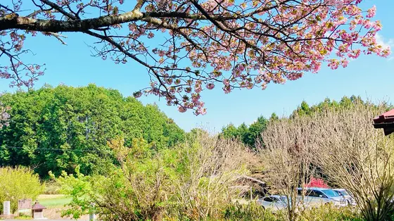 ウグイスがなく里山が広がります