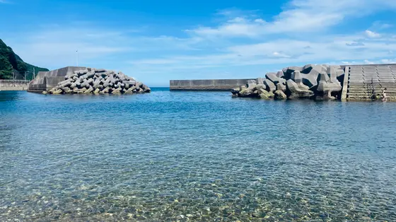 驚くほど透明度の高い海。