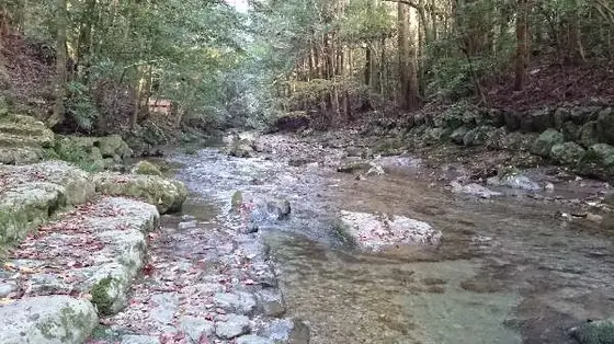 このせせらぎで手を清めます