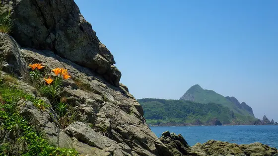 願（ねがい）集落から大野亀を望む