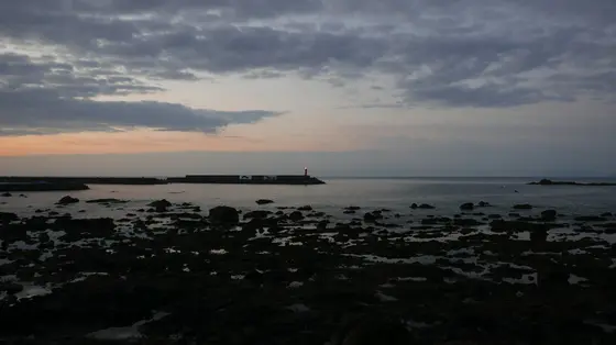 夜明け前の土佐の海