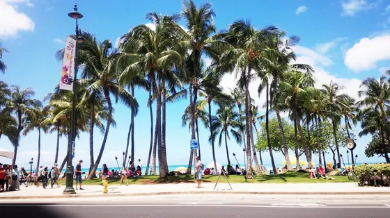 Segway of Hawaii
