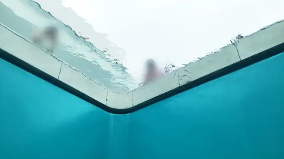プールの中