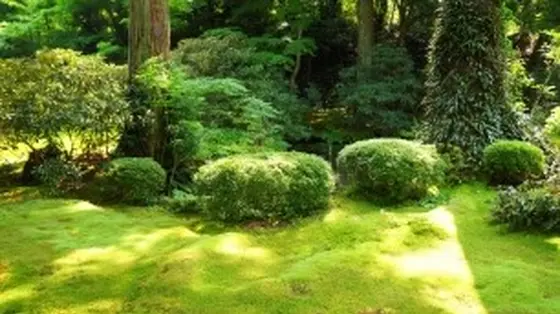 有清園（ゆうせいえん）