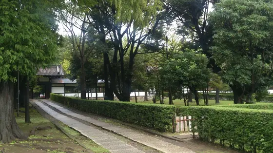 敷地内に鶴見大学＆付属中高もある巨大寺院