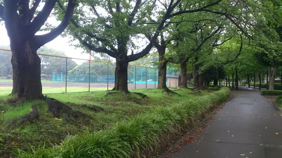 ちょっと訳ありで「入船公園」を紹介