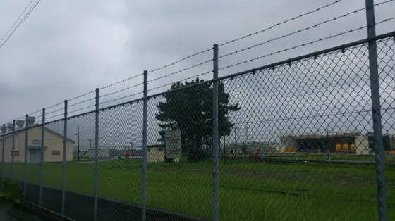 じっと見ていたら門扉を閉められた