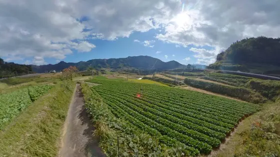 栃又の棚田 360度写真