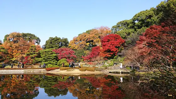 皇居東御苑