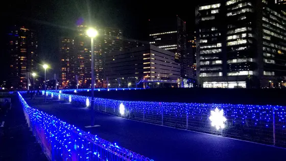 新高島駅からの空地の道