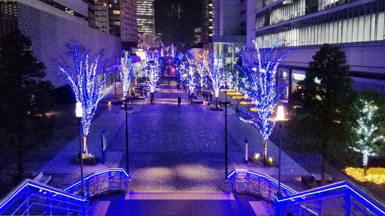 遊歩道から