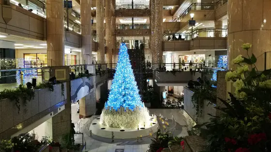 吹き抜けのツリー