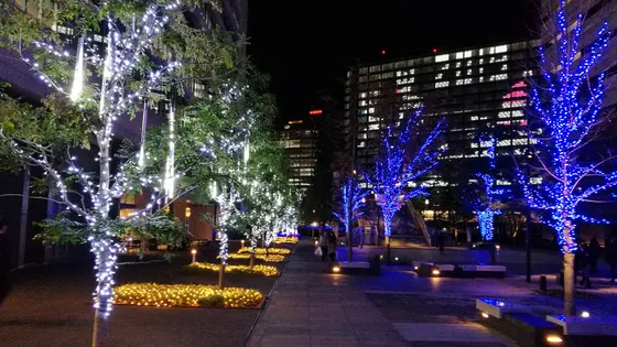 2019年限定の密かなX'Masライティング