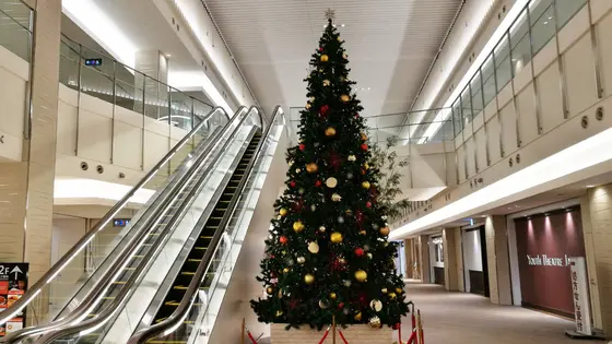 クリスマスツリー