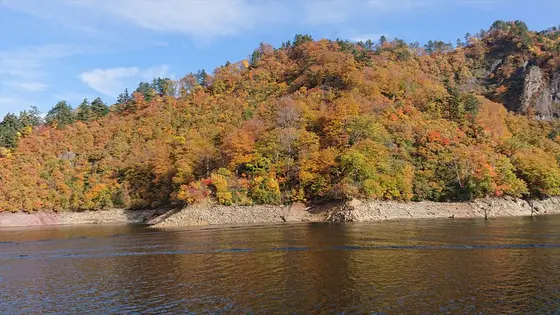 船の上からの紅葉