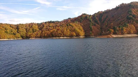 船の上からの紅葉