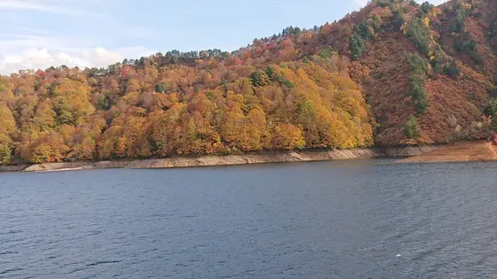 船の上からの紅葉
