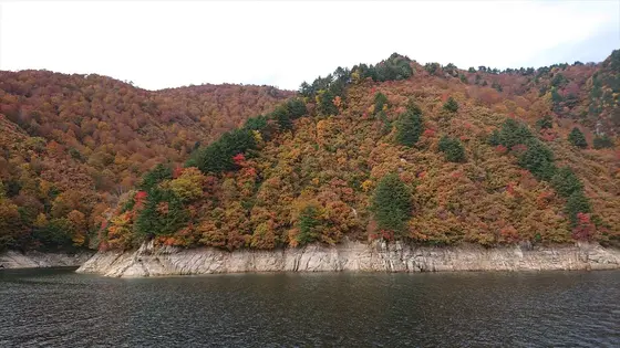 船の上からの紅葉