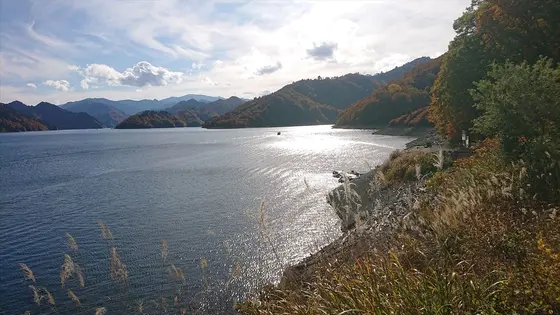 湖に光る