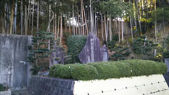 有松の始まり