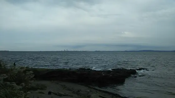 海とあそぶ道
