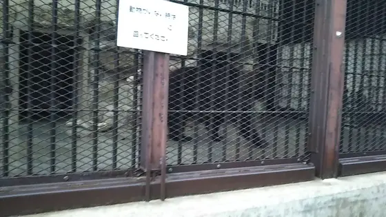 約１２０種４００点