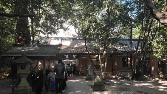 優しい雰囲気が漂ってます