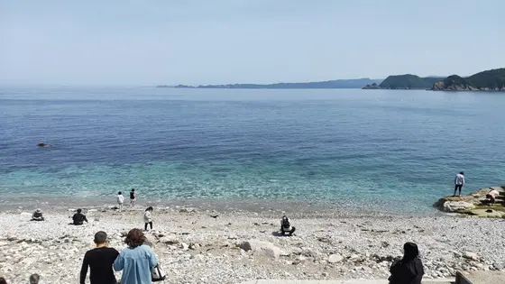ビーチ