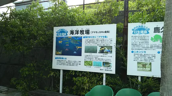 海洋牧場