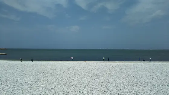 泉南りんくう公園