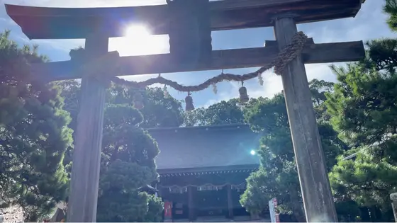 鳥居の間から光がさしていて、なんだかパワーがもらえそう