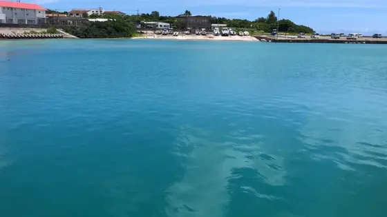 船の上からの景色