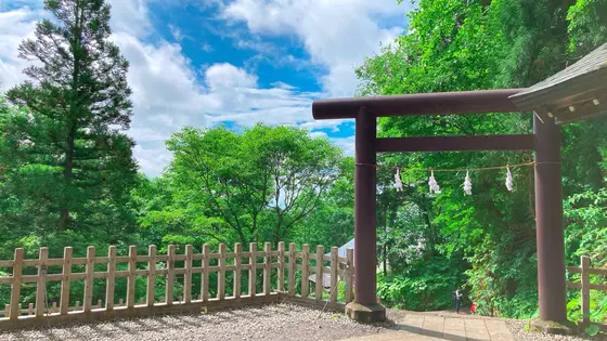 後ろを振り返ると…