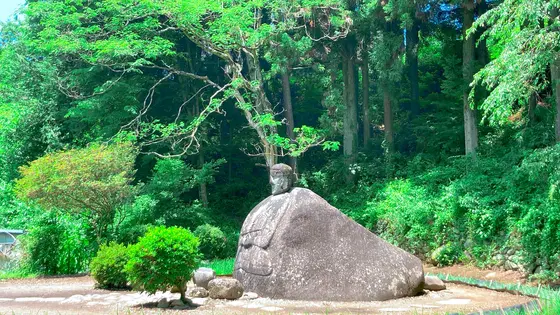 横から見たらこんな感じ