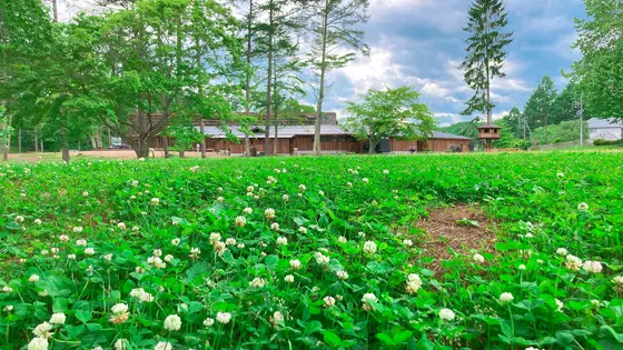 草原で寝転がるっ！