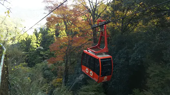 開業