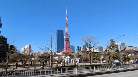 芝公園の南側芝生の大きな広場