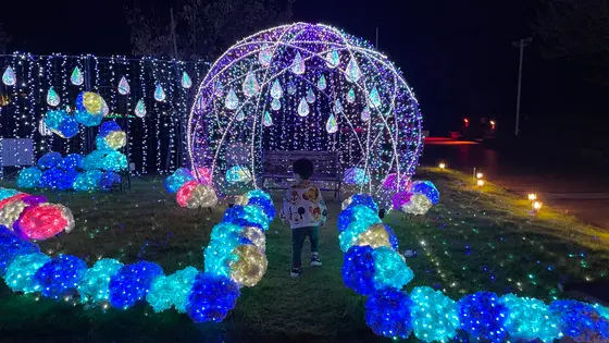 しずくのドーム