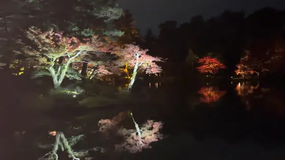 兼六園ライトアップ