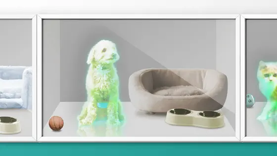 petfeliceにご連絡いただくことで、実際に面会することができます。対面することで、さらなる愛情が湧くこと間違いなし！大切な1匹を見つけてみてはいかがでしょうか！