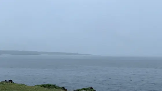 日本海を一望できる