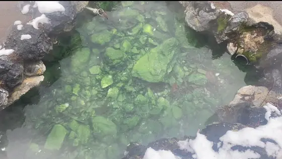 温泉