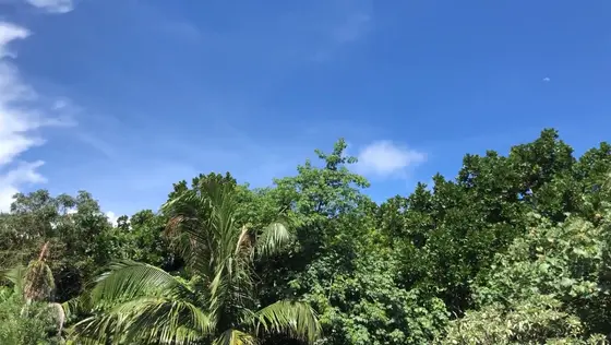 ホテルの目の前の景色