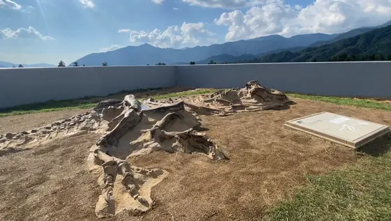 屋上へ
