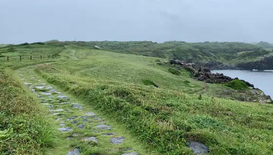 芝生の中に広がる遊歩道